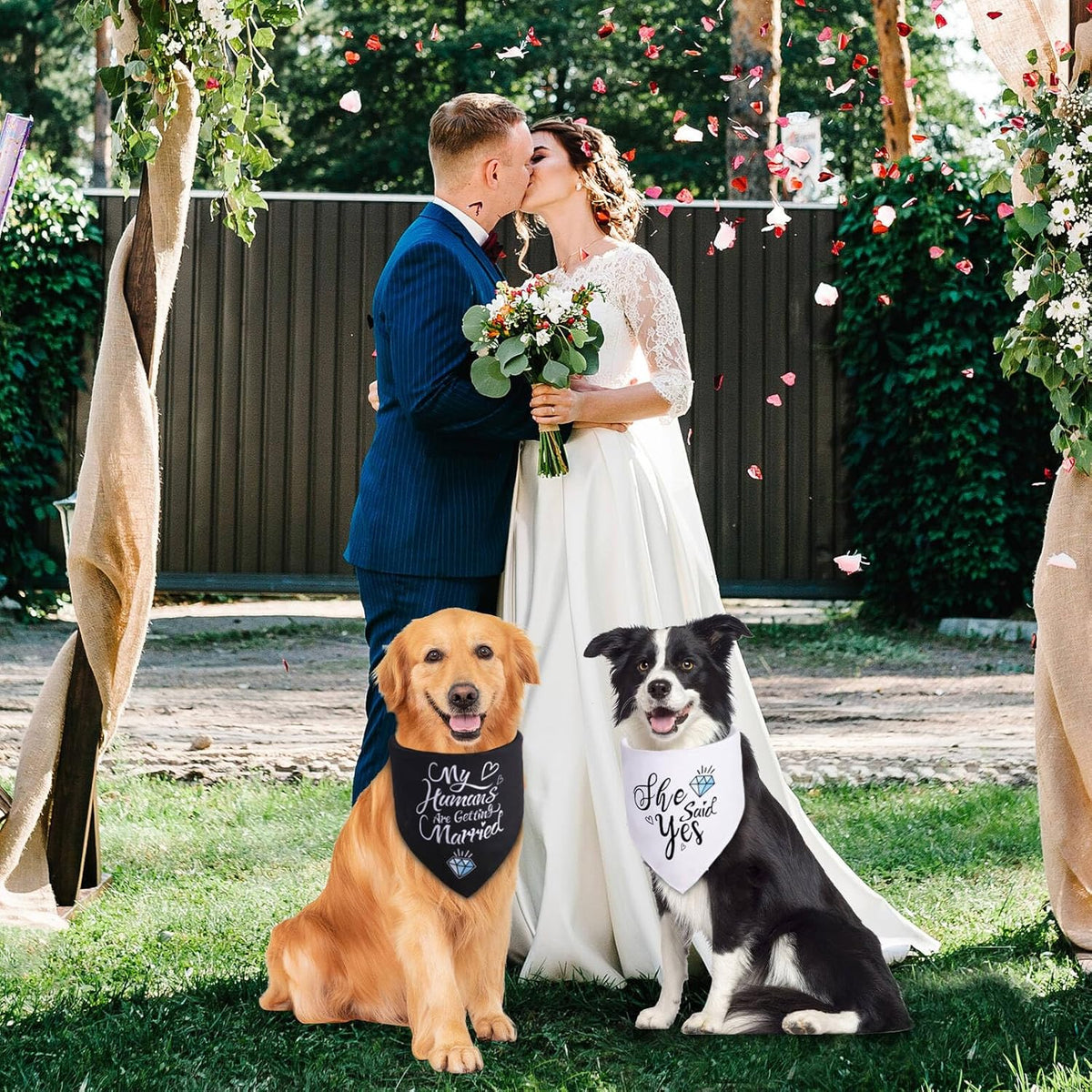 Large black dog bandana for engagement photos