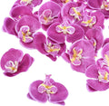 Dark purple artificial orchid flower heads for event décor