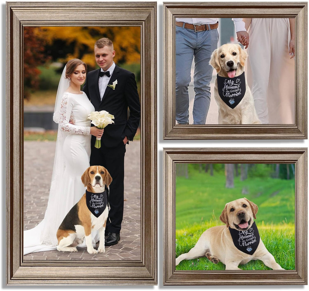 Black engagement bandana for large dogs