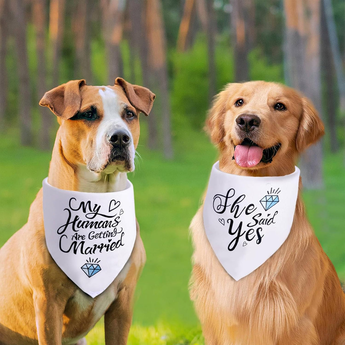 My Humans Are Getting Married pet bandana in white