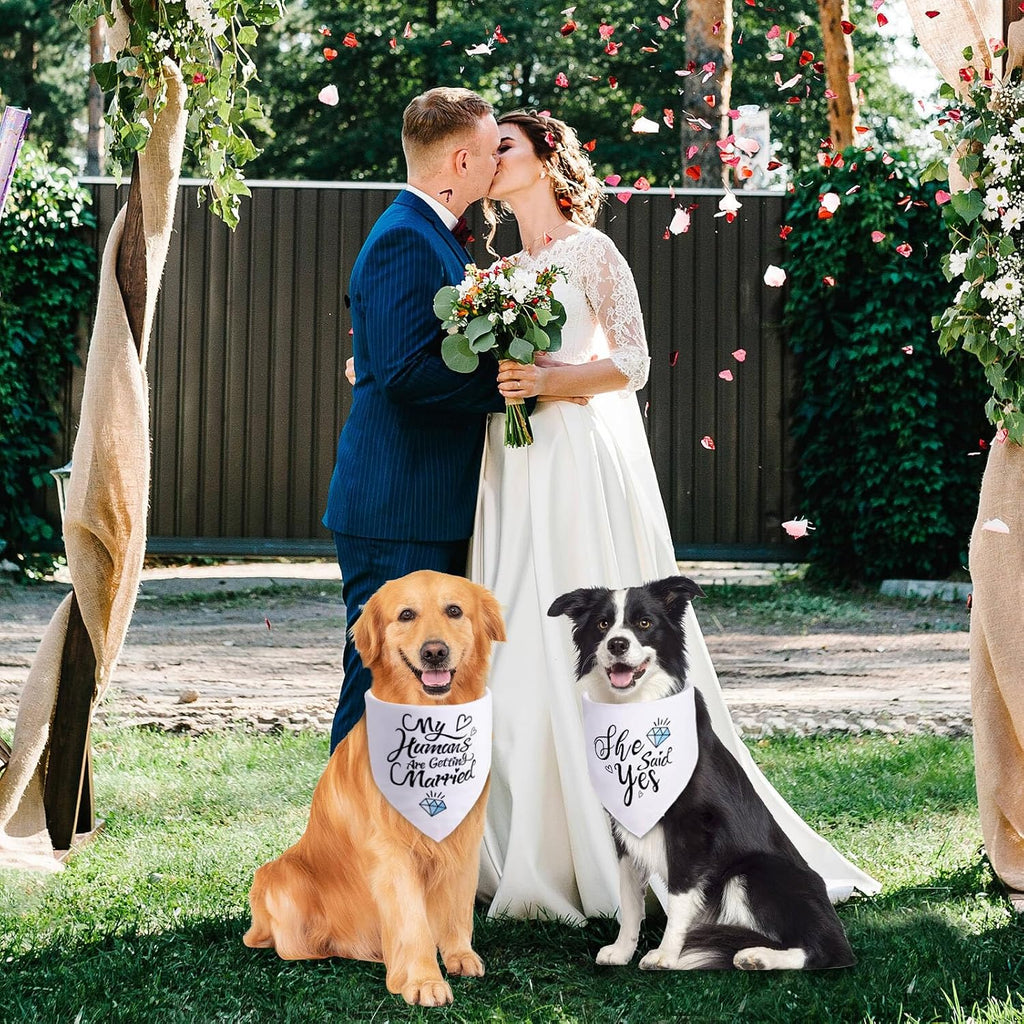 Small white dog bandana for engagement photos