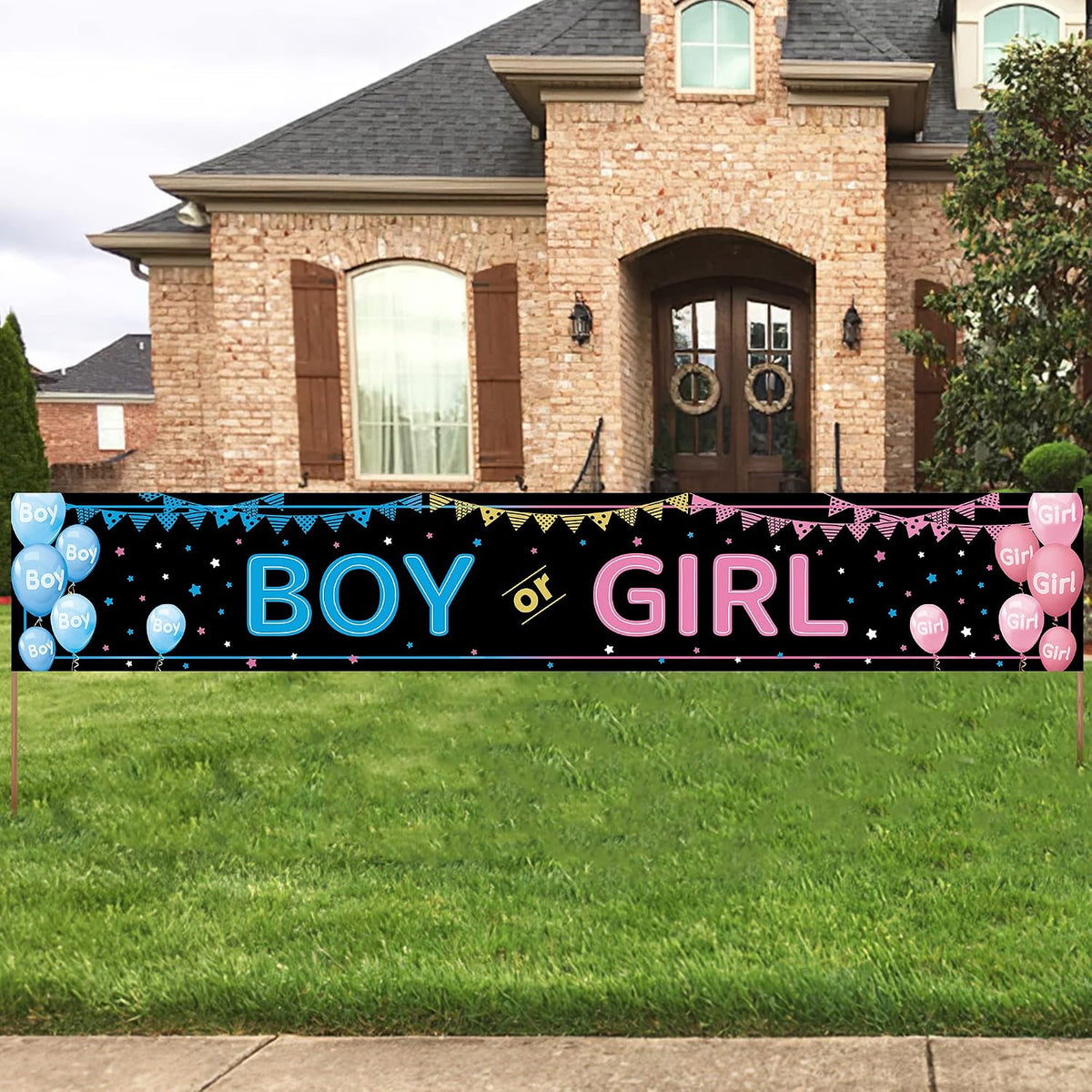 Boy or Girl gender reveal banner