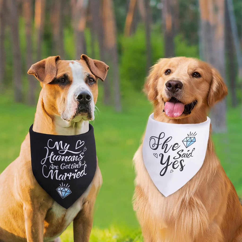 My Humans Are Getting Married pet bandana in black