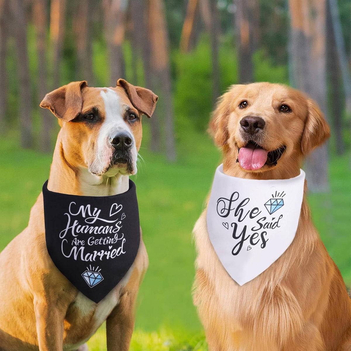 My Humans Are Getting Married pet bandana in black