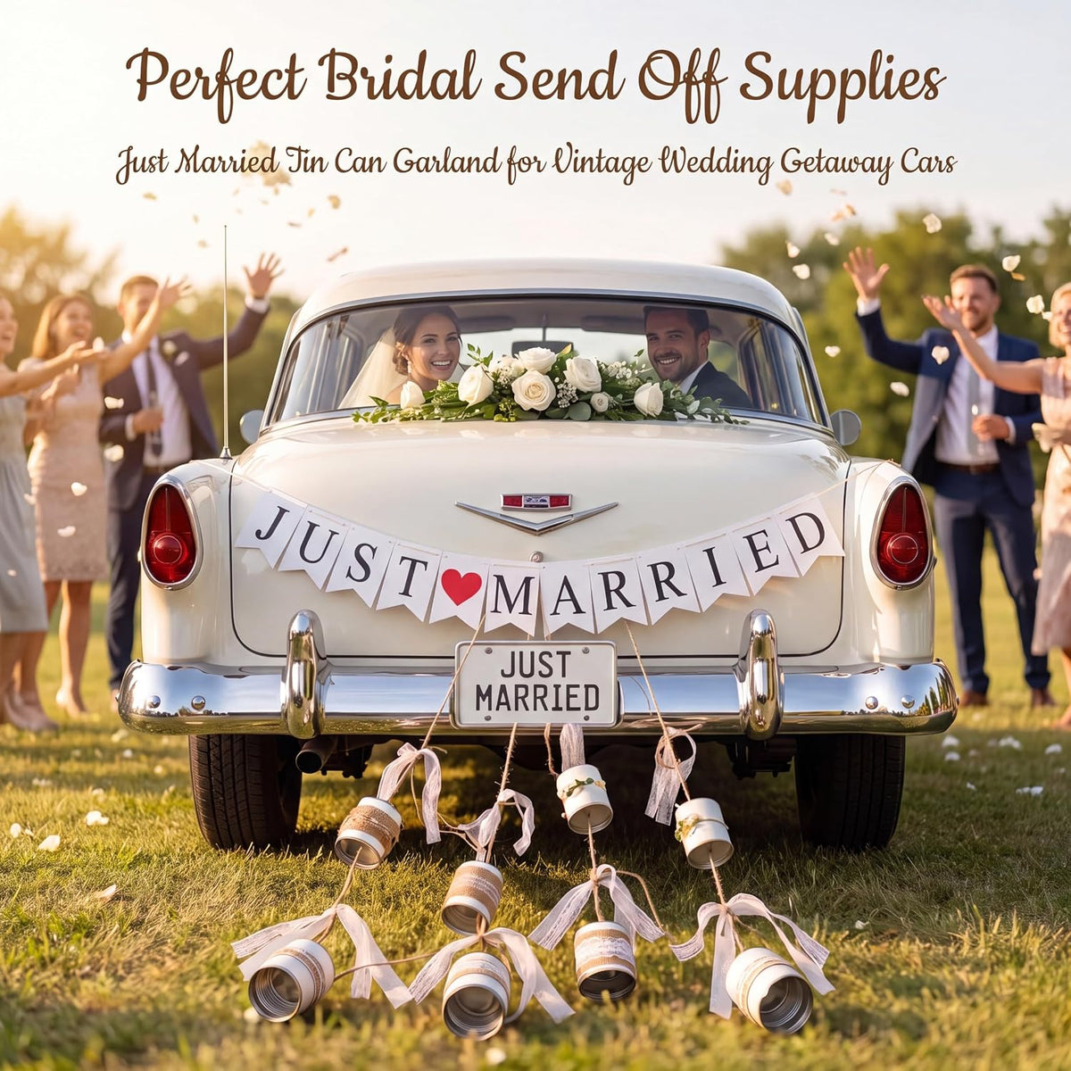 Just Married wedding car accessory set