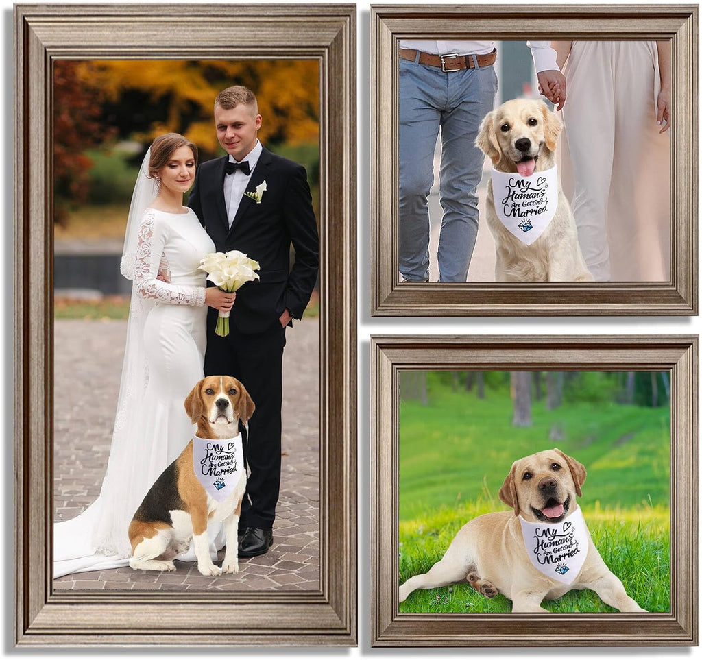White engagement bandana for small dogs