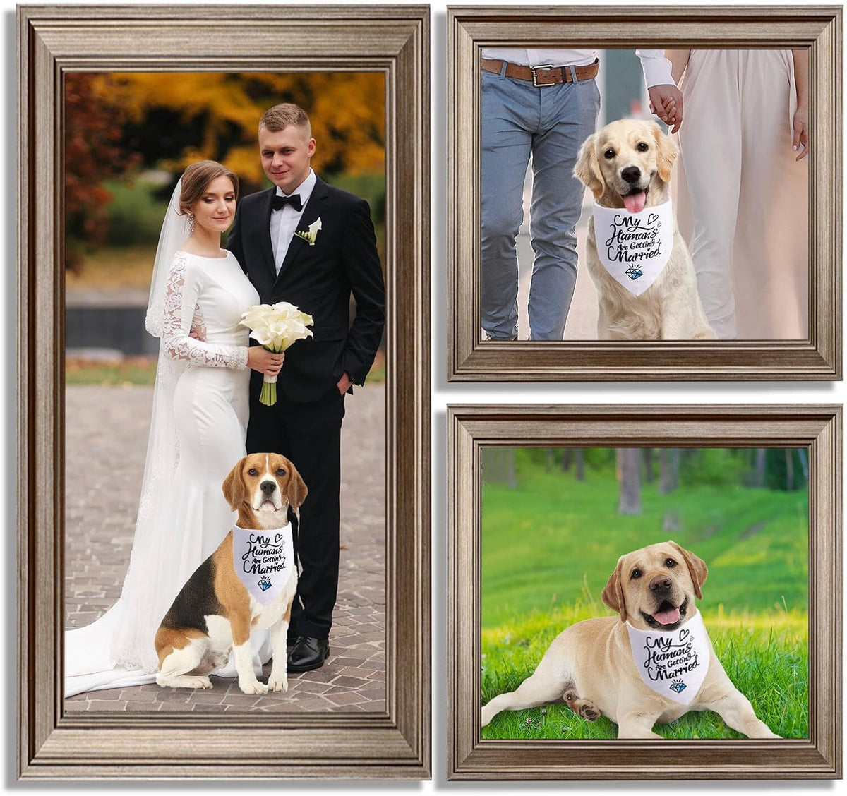 White engagement bandana for small dogs