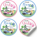 Golf gender reveal prediction stickers