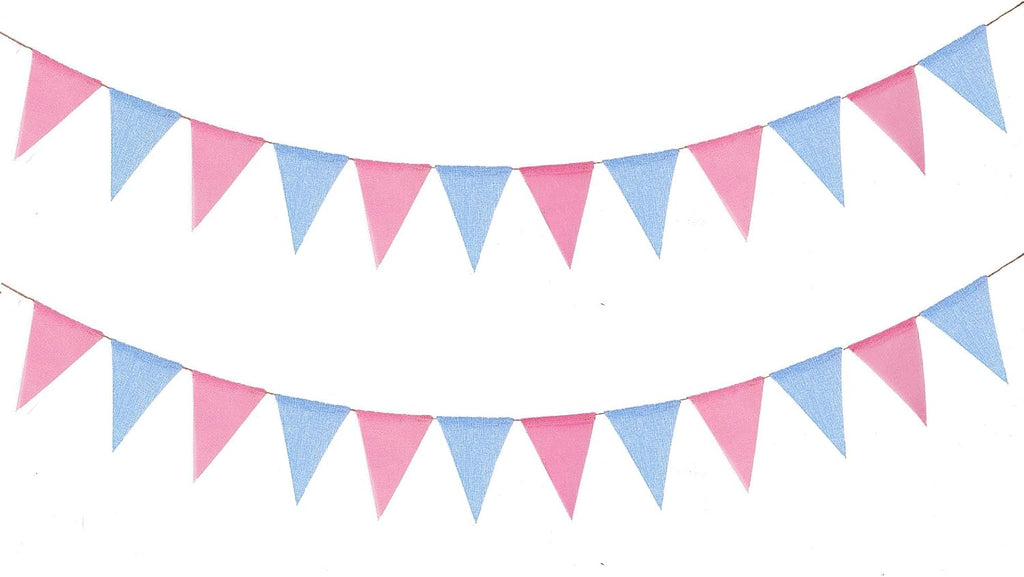 Pink and blue gender reveal pennant banner