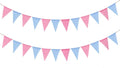 Pink and blue gender reveal pennant banner
