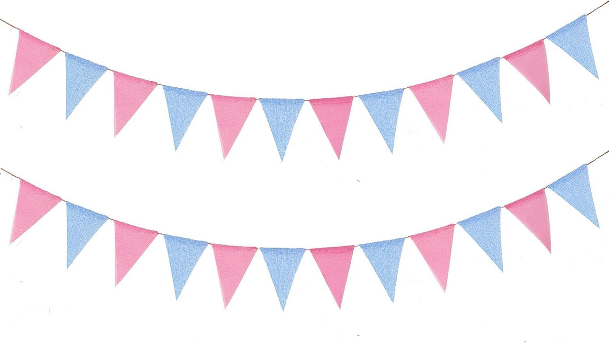 Pink and blue gender reveal pennant banner